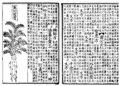 The Bencao on traditional Chinese medicine; printed with woodblock printing press in 1249; Shen grew ill often as a child, and so developed an interest in medicinal cures.