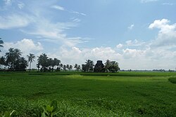 View of Fields at Biccavolu, Eastern coastal plains, Andhra Pradesh, India