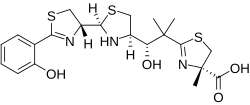 Yersiniabactin, a mixed-ligand siderophore