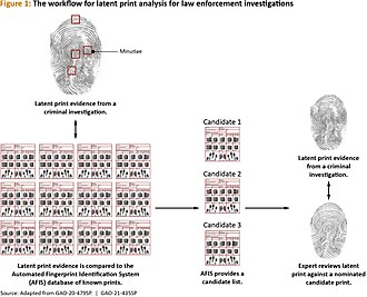 Latent fingerprint analysis process
