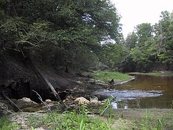 The entire surface water flow of the Alapaha River near Jennings, Florida goes into a sinkhole leading to the Floridan Aquifer groundwater
