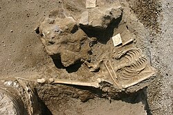 Victim of eruption found in 2006 in Villa San Marco