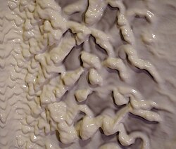 Paint is a non-Newtonian fluid. A flat surface covered with white paint is oriented vertically (before taking the picture the flat surface was horizontal, placed on a table). The fluid starts dripping down the surface but, because of its non-Newtonian nature, it is subjected to stress due to the gravitational acceleration. Therefore, instead of slipping along the surface, it forms very large and very dense droplets with limited dripping.