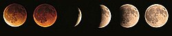 The progression of a lunar eclipse from right to left. Totality is shown with the first two images. These required a longer exposure time to make the details visible.