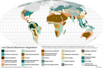 Vegetation during the Last Glacial Maximum