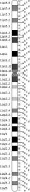 Chr 11 FISH-mapped BACs from CGAP