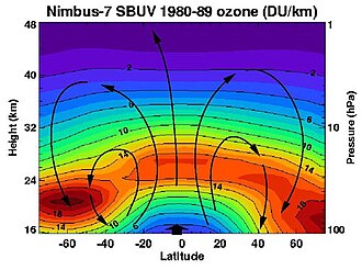 Brewer–Dobson circulation in the ozone layer