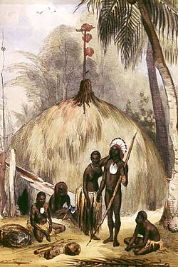 Example of Mer Island (or Murray Island) architecture (Torres Strait Islands). Round form covered with dried banana leaves with sleeping platforms placed inside. Hand-coloured lithograph by Melville, c. 1849