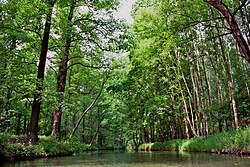 The Spreewald, a biosphere reserve by UNESCO