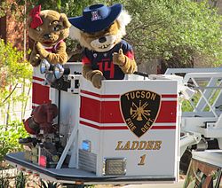 Wilma and Wilbur Wildcat at the 100th homecoming at the University of Arizona