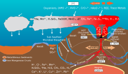 Diagram of biogeochemical processes within a hydrothermal vent system