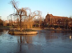 Frozen pond on Feltham Green