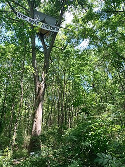 A tree sit to prevent cutting of trees at the Old Atlanta Prison Farm