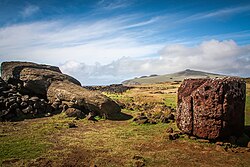 Toppled moai