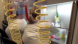 Working inside a BSL-4 laboratory with air hoses providing positive air pressure to their suits