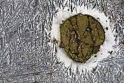 The Tishomingo Iron Meteorite, found in 1965
