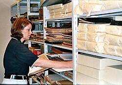 A paper conservator surveying a collection of materials in storage
