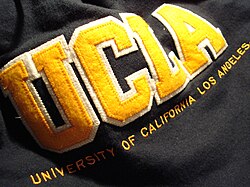 A hoodie from the UCLA Store