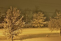 A late night heavy blizzard in Ontario, Canada.
