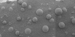 Image mosaic from the Mars Exploration Rover Microscopic Imager shows hematite spherules partly embedded in rock at the Opportunity landing site. Image is around 5 cm (2 in) across.