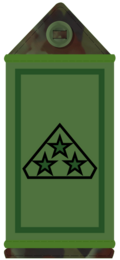 3* private