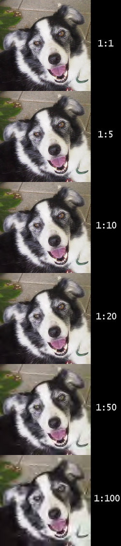 Top-to-bottom demonstration of the artifacts of JPEG 2000 compression. The numbers indicate the compression ratio used.