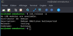 An example of LSB output in a terminal (Debian version 11)