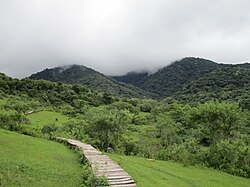 View of the Southern Andean Yungas in Villa San Lorenzo.