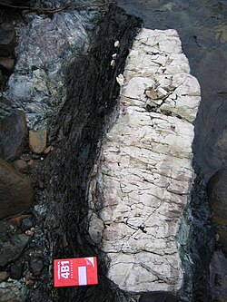 Metasomatized dike in serpentinite Nelson New Zealand