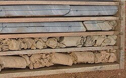 Limestone core samples at different stages of chemical weathering, from very high at shallow depths (bottom) to very low at greater depths (top). Slightly weathered limestone shows brownish stains, while highly weathered limestone loses much of its carbonate mineral content, leaving behind clay. Limestone drill core taken from the carbonate West Congolian deposit in Kimpese, Democratic Republic of Congo.