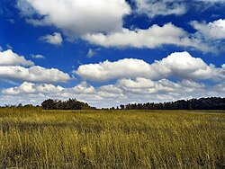 Clouds near the horizon are typically further away from the viewer, while those high in the sky are closer, giving the impression of a flat, or gently curved, sky surface.