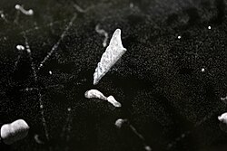 If vapor pressure exceeds the thermodynamic equilibrium value, condensation occurs in presence of nucleation sites. This principle is indigenous in cloud chambers, where ionized particles form condensation tracks when passing through.