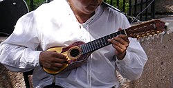Charango, a musical instrument banned by the dictatorship