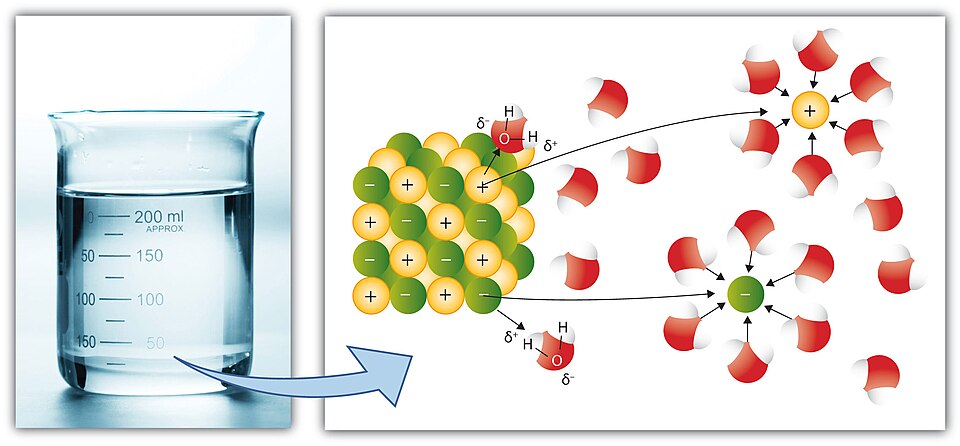 Dissolution of sodium chloride in water