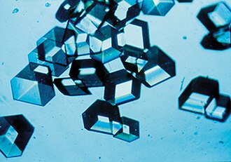 Single crystalline form of solid insulin.