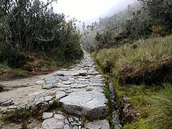 Enroute to Machu Picchu on an Inca road.