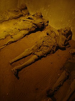 Mummies in the Capuchin Crypt in Brno