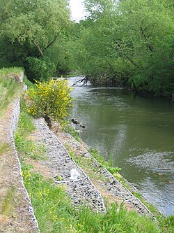 Gabions used to stabilize the bank of the River Esk, Lothian, Scotland