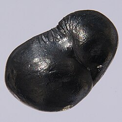 A bead of beryllium from a melt
