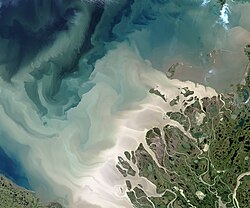 Mackenzie river enters Beaufort sea