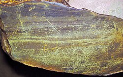 Copper-zinc ore sample from a VMS deposit at Potter Mine in Timmins, Ontario, Canada. The brassy-yellow mineral is chalcopyrite- the primary ore mineral at this mine.