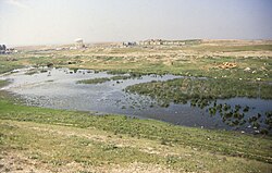 Eastern city wall and Shamash Gate