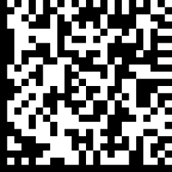 A Data Matrix code