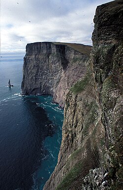 Stappen bird cliff at Bear Island.