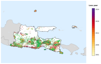 Map of East Java showing tree-cover loss years, with forest remaining since 2000 in green and loss years shaded yellow through purple.