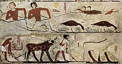 Hunting game birds and plowing a field, tomb of Nefermaat and his wife Itet (c. 2700 BC)
