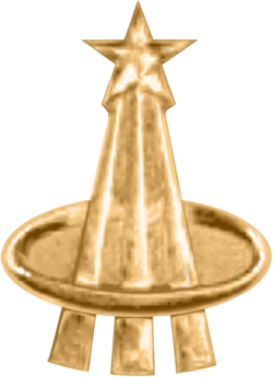 NASA Astronaut lapel pin