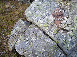 A rock in Abisko, Sweden, fractured along existing joints possibly by frost weathering or thermal stress