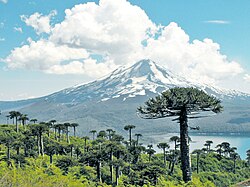 Conguillio National Park from Sierra Nevada, with the lake and the Llaima Volcano background