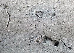 2,100-year-old human footprints, called "Huellas de Acahualinca" and preserved in volcanic mud near Lake Managua